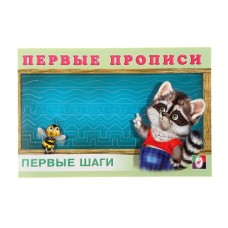 Первые прописи. Первые шаги, изд.: Фламинго, серия.: Серия " Первые прописи" 9785783328879