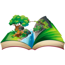 Книги Книги
